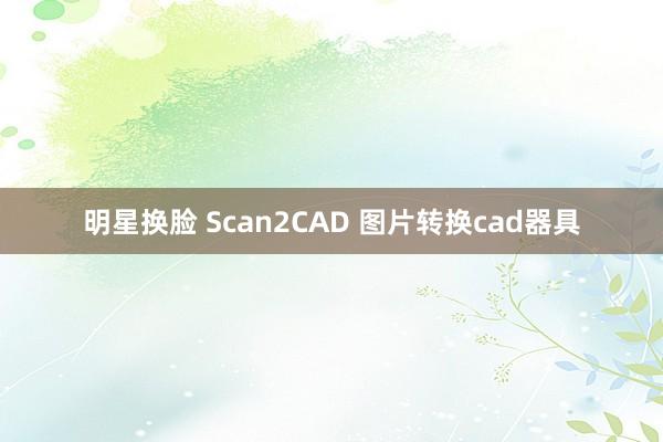明星换脸 Scan2CAD 图片转换cad器具
