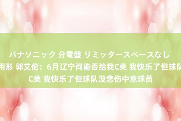 パナソニック 分電盤 リミッタースペースなし 露出・半埋込両用形 郭艾伦：6月辽宁问能否给我C类 我快乐了但球队没悲伤中意球员